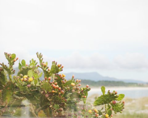 Un café con vistas