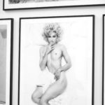 MEISEL 1993 A YEAR IN PHOTOGRAPHS