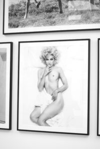 MEISEL 1993 A YEAR IN PHOTOGRAPHS
