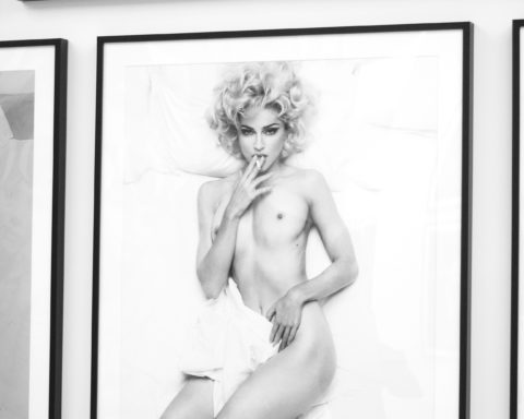 MEISEL 1993 A YEAR IN PHOTOGRAPHS